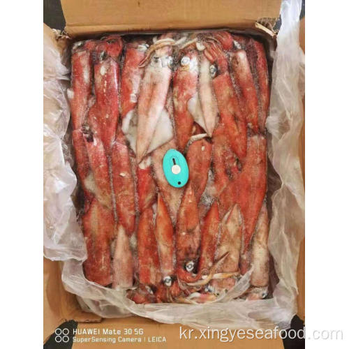 냉동 uroteuthis chinensis squid sale13-18cm